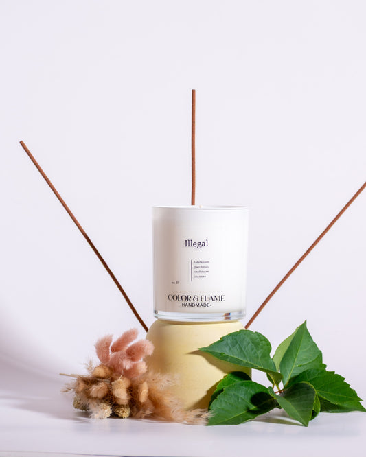 Color & Flame Handmade Illegal candle styled with incense sticks, green leaves, and soft dried botanicals.
