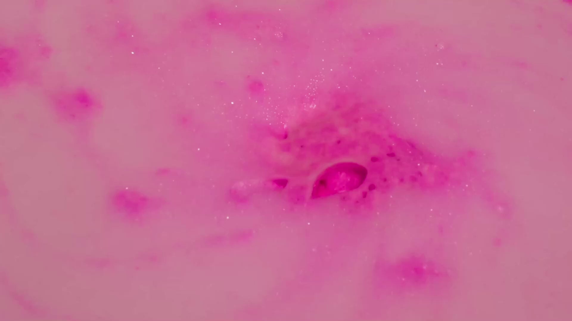 Peach Garden - Bath Bomb